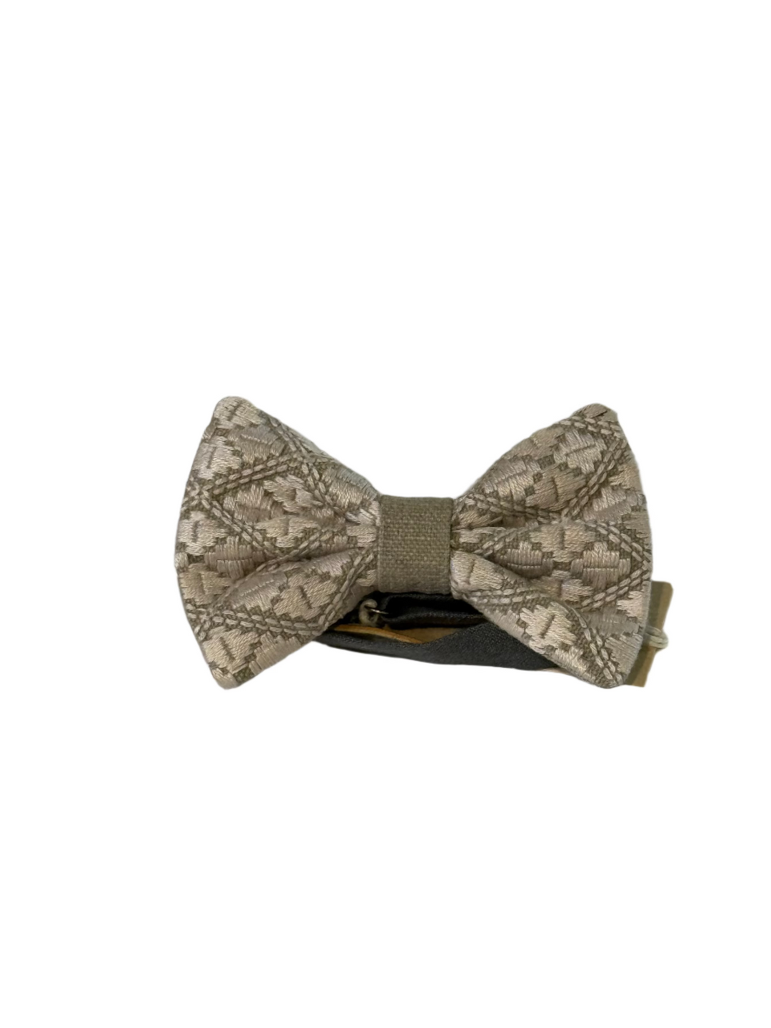 Rajaneh Bow Tie 2